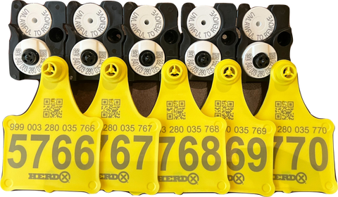UHF & LF 840 USDA Paired Tag Set