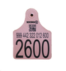 Smaller - UHF Cattle Tags - 3 1/8